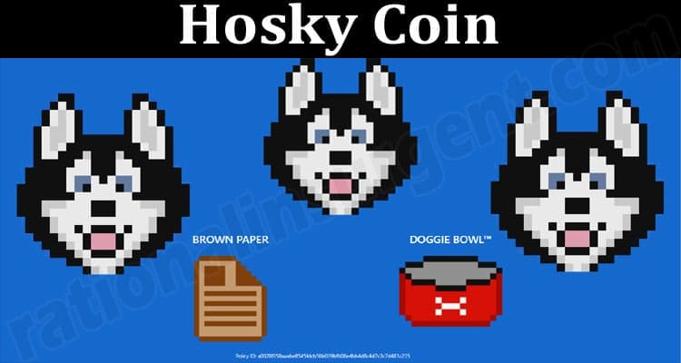 About General Information Hosky Coin