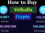 About General Information How to Buy Velhalla Crypto