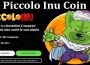 About General Information Piccolo Inu Coin