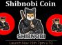 About General Information Shibnobi Coin