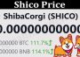 About General Information Shico Price