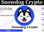 About General Information Snowdog Crypto