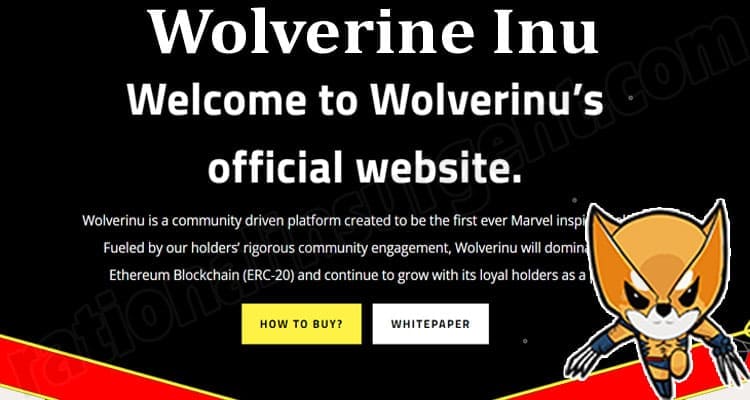 About General Information Wolverine Inu