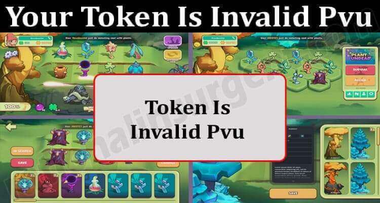 About General Information Your Token Is Invalid Pvu