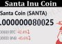 About Genral Infloramtion Santa Inu Coin