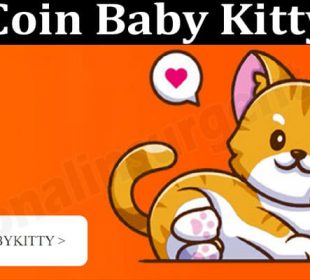 About General Information Coin Baby Kitty