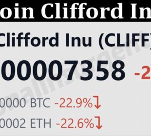 About General Information Coin Clifford Inu