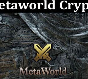 About General Information Metaworld Crypto