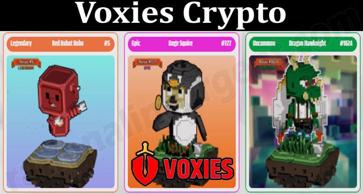 About General Information Voxies Crypto