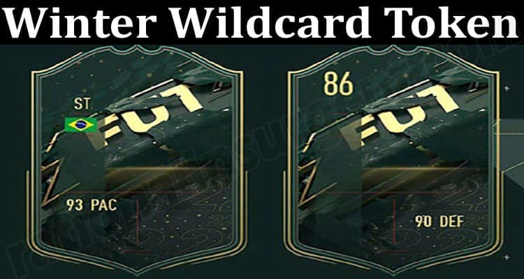 About General Information Winter Wildcard Token