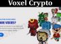 About general Information Voxel Crypto
