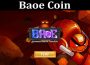 About General Information Baoe Coin