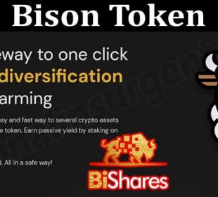 About General Information Bison Token
