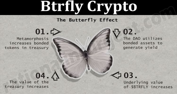 About General Information Btrfly Crypto