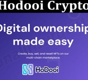About General Information Hodooi Crypto