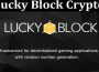 About General Information Lucky Block Crypto