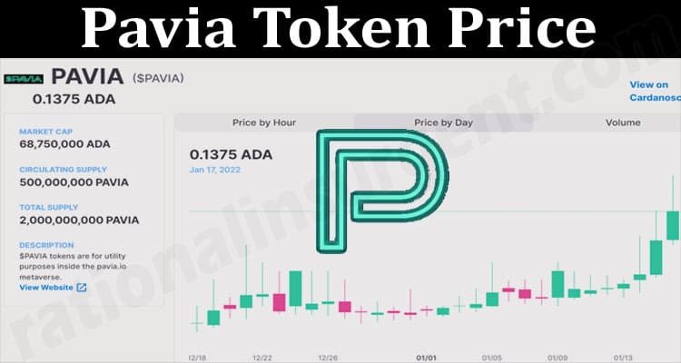About General Information Pavia Token Price
