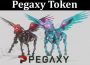 About General Information Pegaxy Token