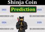 About General Information Shinja Coin Prediction