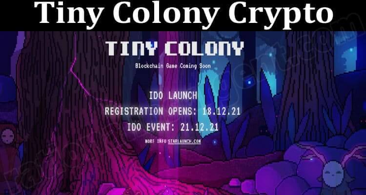 About General Information Tiny Colony Crypto