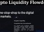 About General Information Crypto Liquidity Flowdesk