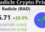 About General Information Radicle Crypto Price