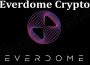 About general Information Everdome Crypto