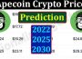About General Information Apecoin Crypto Price Prediction 2022 2025 2030