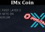 About General Information IMx Coin