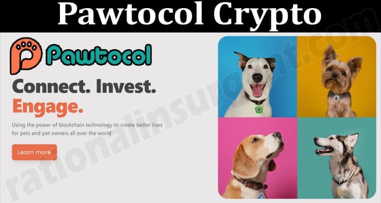About General Information Pawtocol Crypto