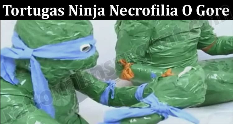 Latest News Tortugas Ninja Necrofilia O Gore