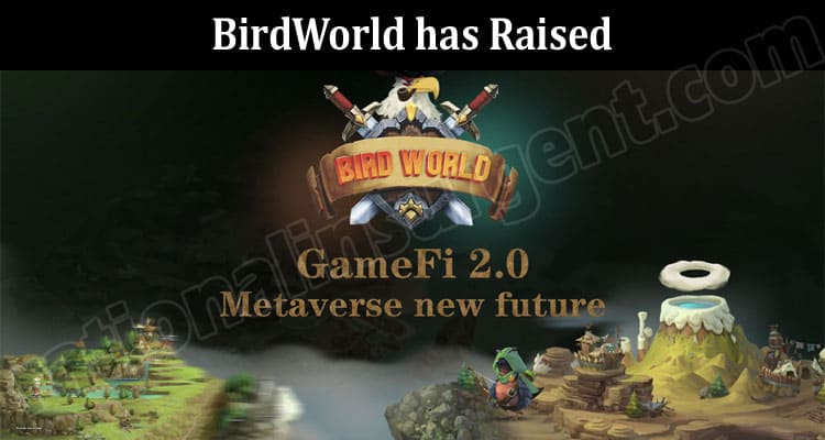 Latest Crypto News BirdWorld has Raised