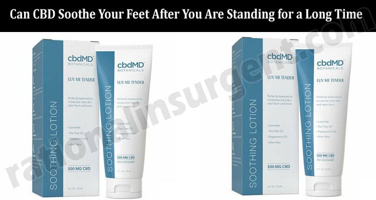 Latest News Can CBD Soothe Your Feet After You Are Standing for a Long Time