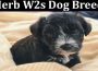 Latest News Herb W2s Dog Breed