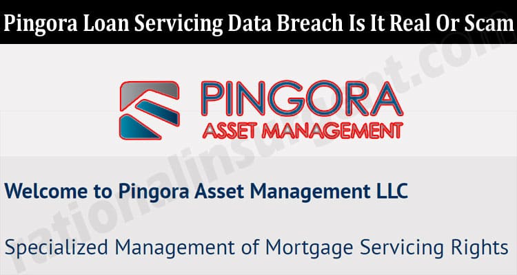 Latest News Pingora Loan Servicing Data Breach Is It Real Or Scam