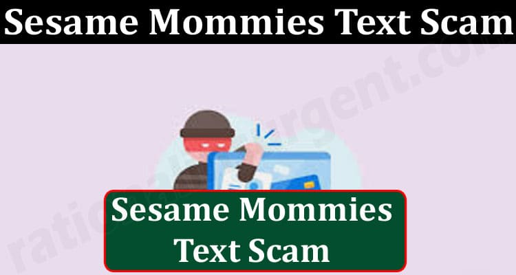 Latest News Sesame Mommies Text Scam