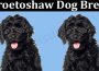Latest-News-Wroetoshaw-Dog-Breed