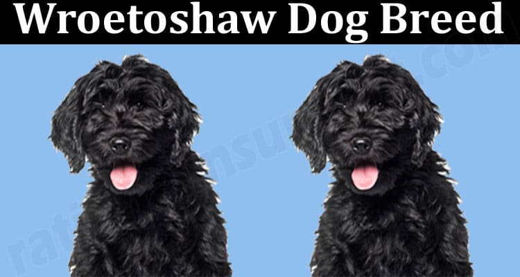 Latest-News-Wroetoshaw-Dog-Breed