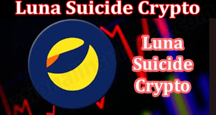 About General Information Luna Suicide Crypto