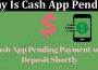 Latest News Why Is Cash App Pending