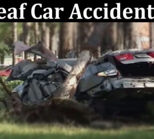 Latest News Oakleaf Car Accident 2022