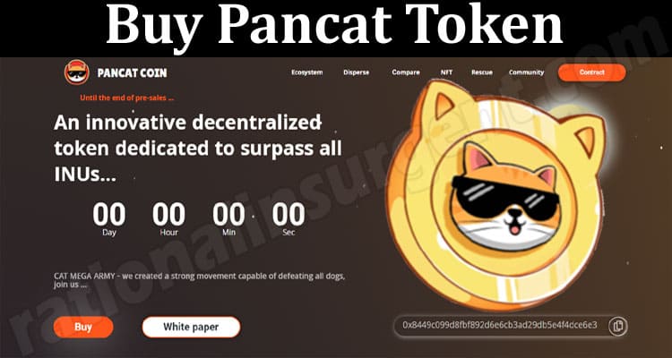 Latest Crypto News Buy Pancat Token