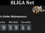 Latest News 8LIGA Net