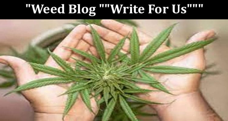 About General Information Weed Blog Write For Us