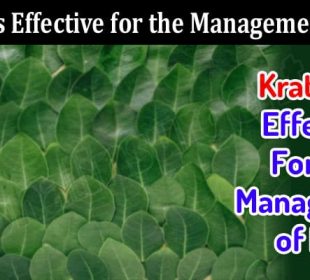 Is It True Kratom Is Effective for the Management of Pain