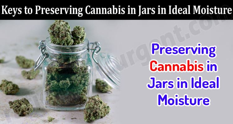 Keys to Preserving Cannabis in Jars in Ideal Moisture