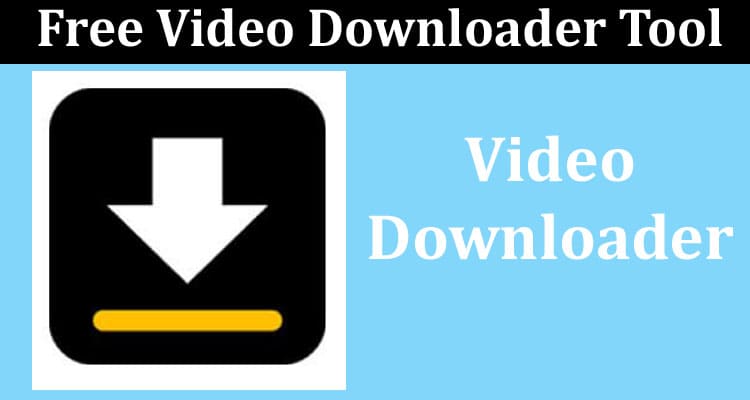 HD Quality TikTok Videos with Free Video Downloader Tool