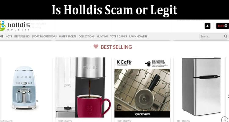 Holldis Online website Reviews