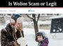 Is Wolios Scam or Legit Online Website Reviews
