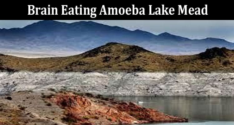 Latest News Brain Eating Amoeba Lake Mead
